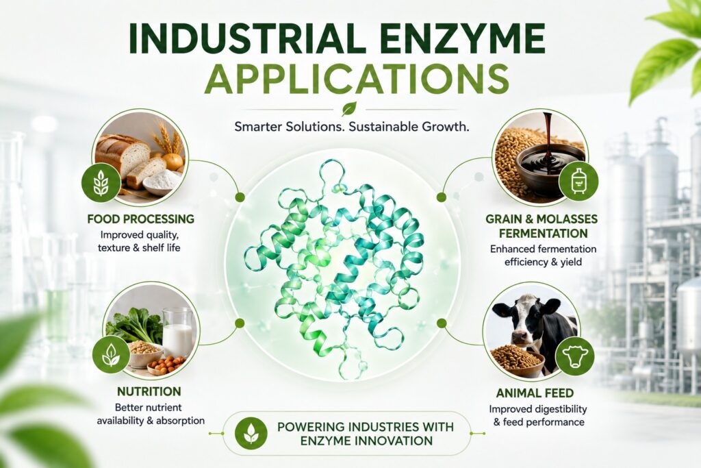 Biotechnology company supporting sustainable industrial processes